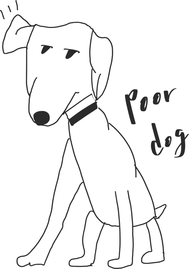 体の細い犬と、手書きのpoor dogの文字